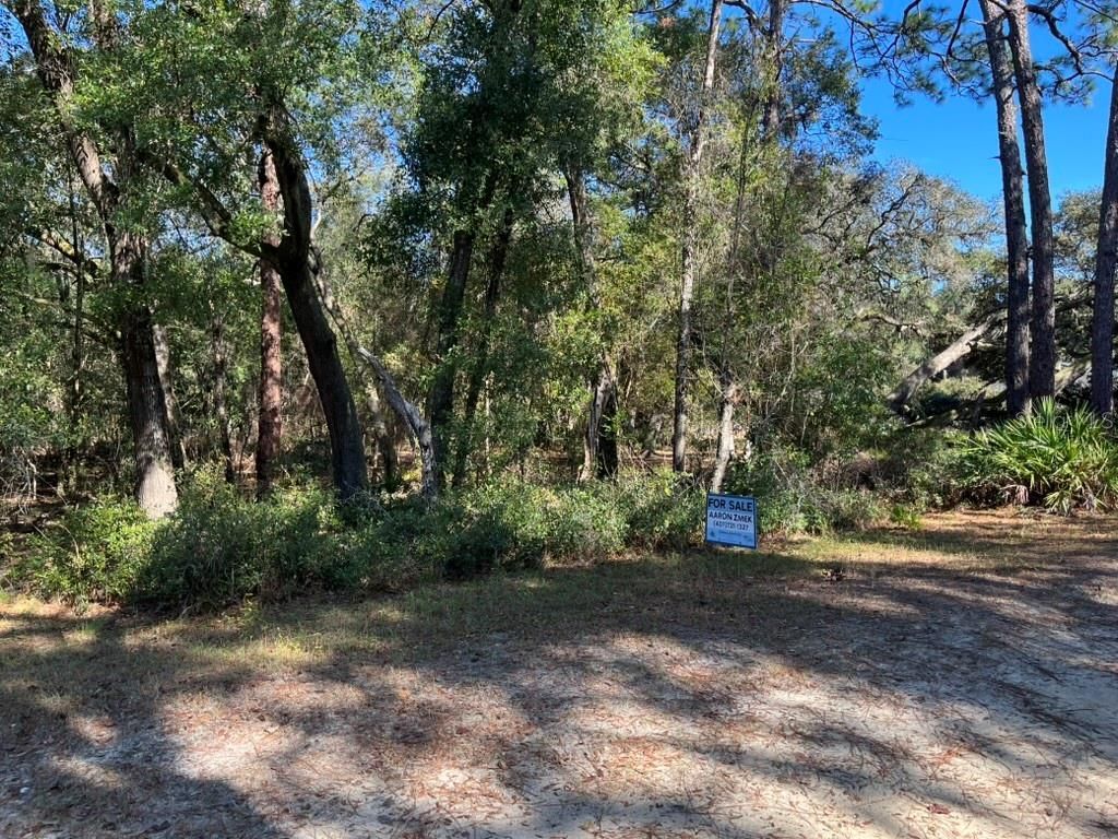 North Road , Altoona, FL 32702 Photo