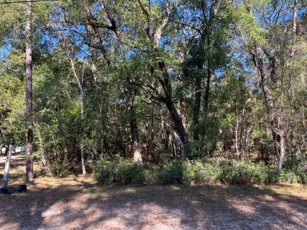 North Road , Altoona, FL 32702 Photo