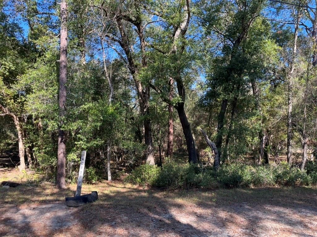 North Road , Altoona, FL 32702 Photo