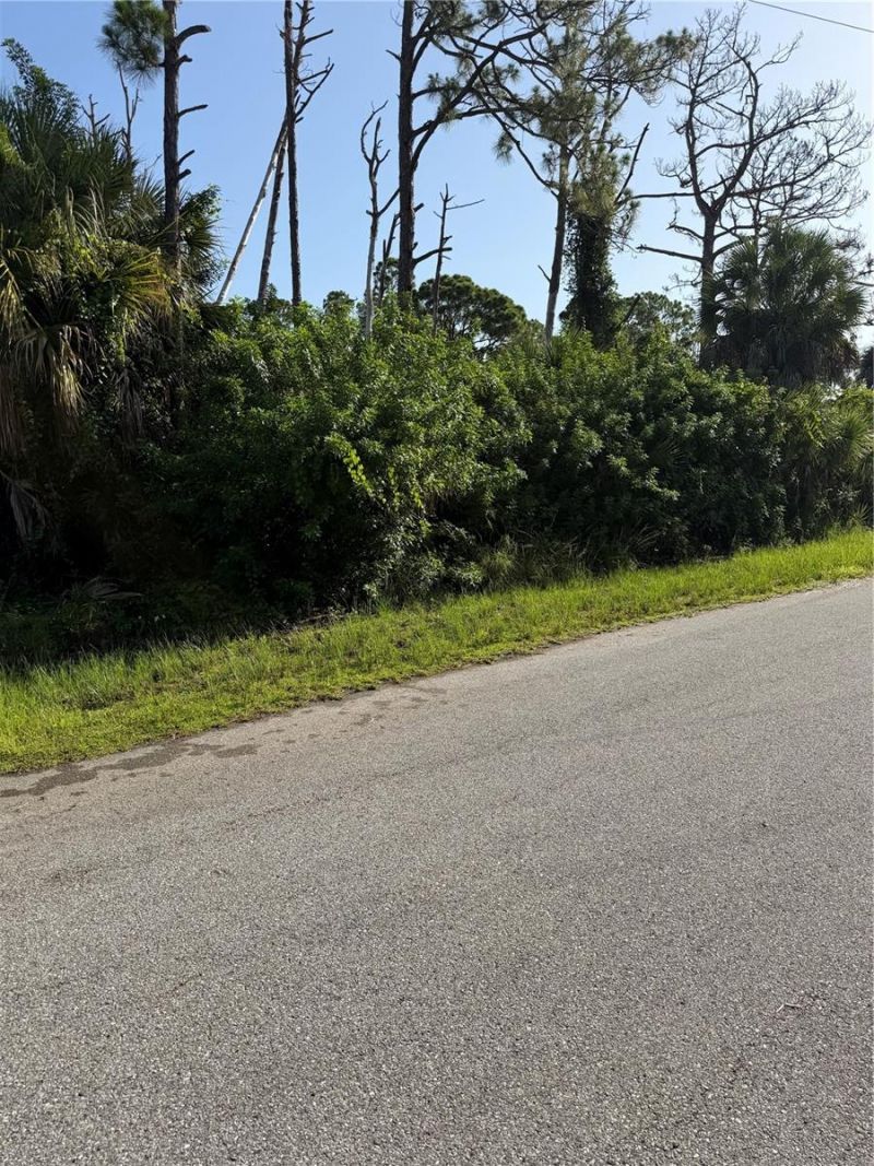 12134 Chapman Ave , Port Charlotte, FL 33983 Photo