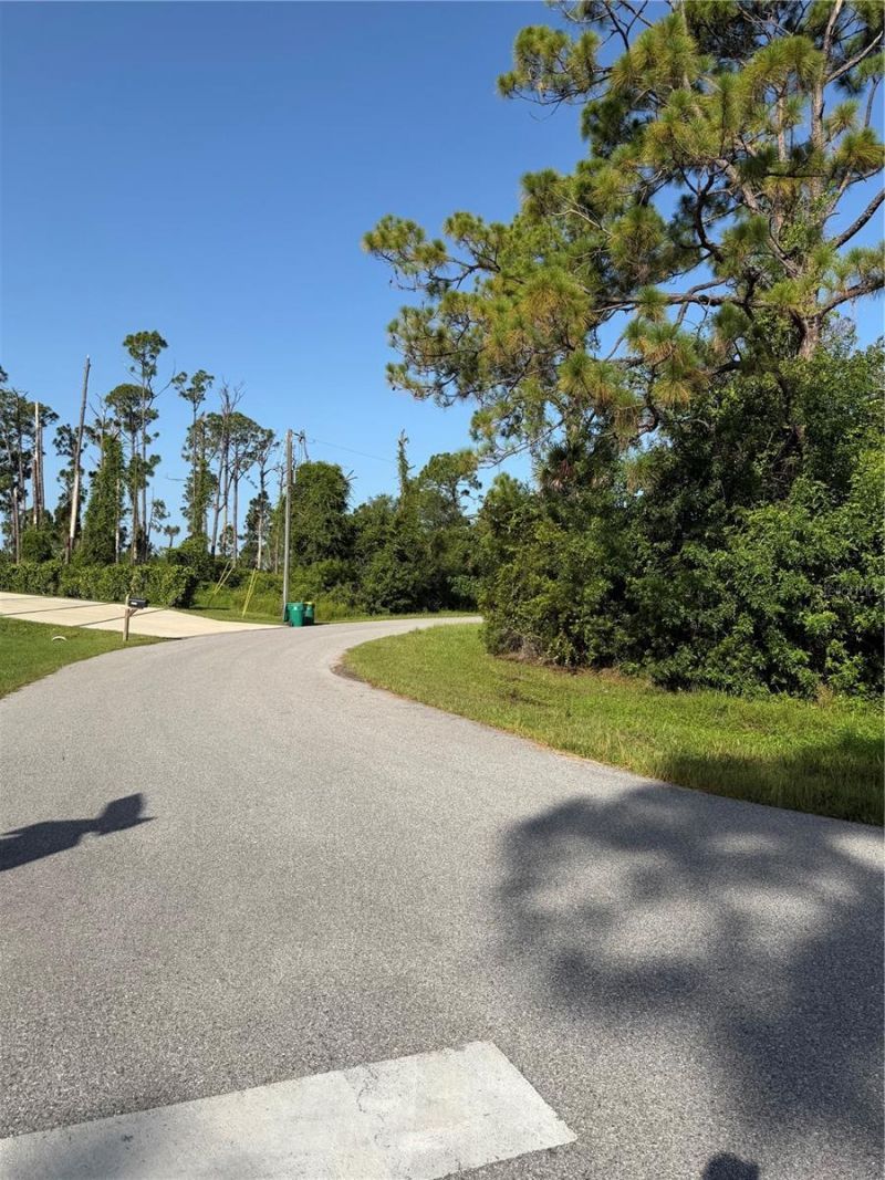 12134 Chapman Ave , Port Charlotte, FL 33983 Photo