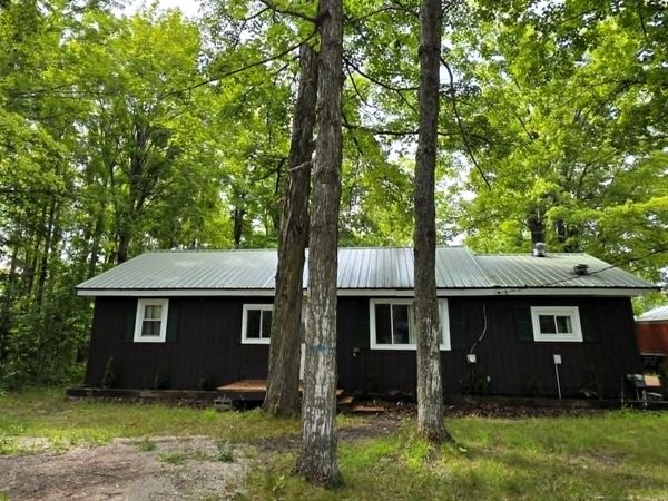 17985 Hackett Lake Highway, Onaway, MI 49765