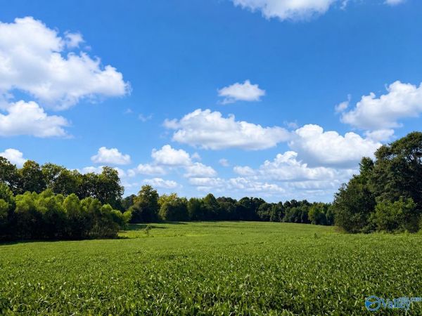 18.6 Acres Highway 431, Boaz, AL 35956