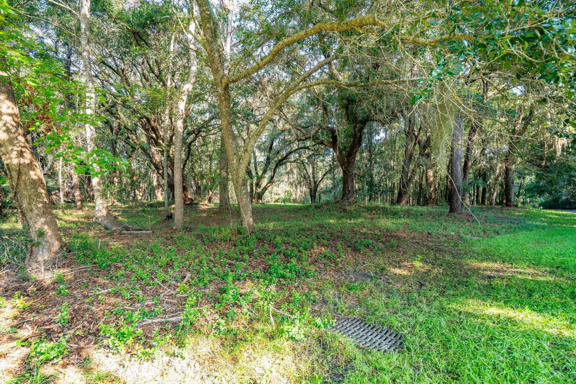 4132 Gnarled Oaks Lane Photo 10