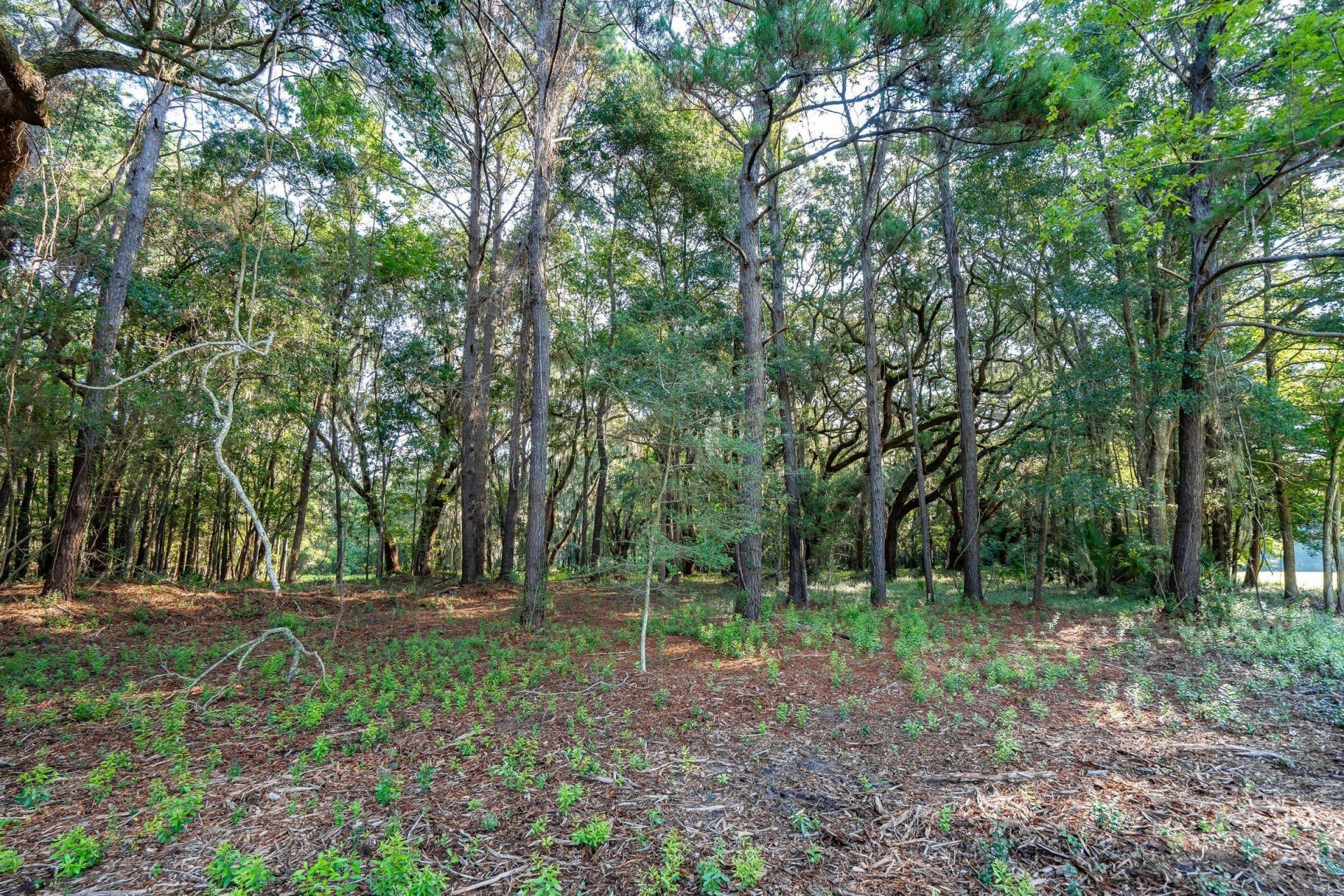 4132 Gnarled Oaks Lane Photo 8