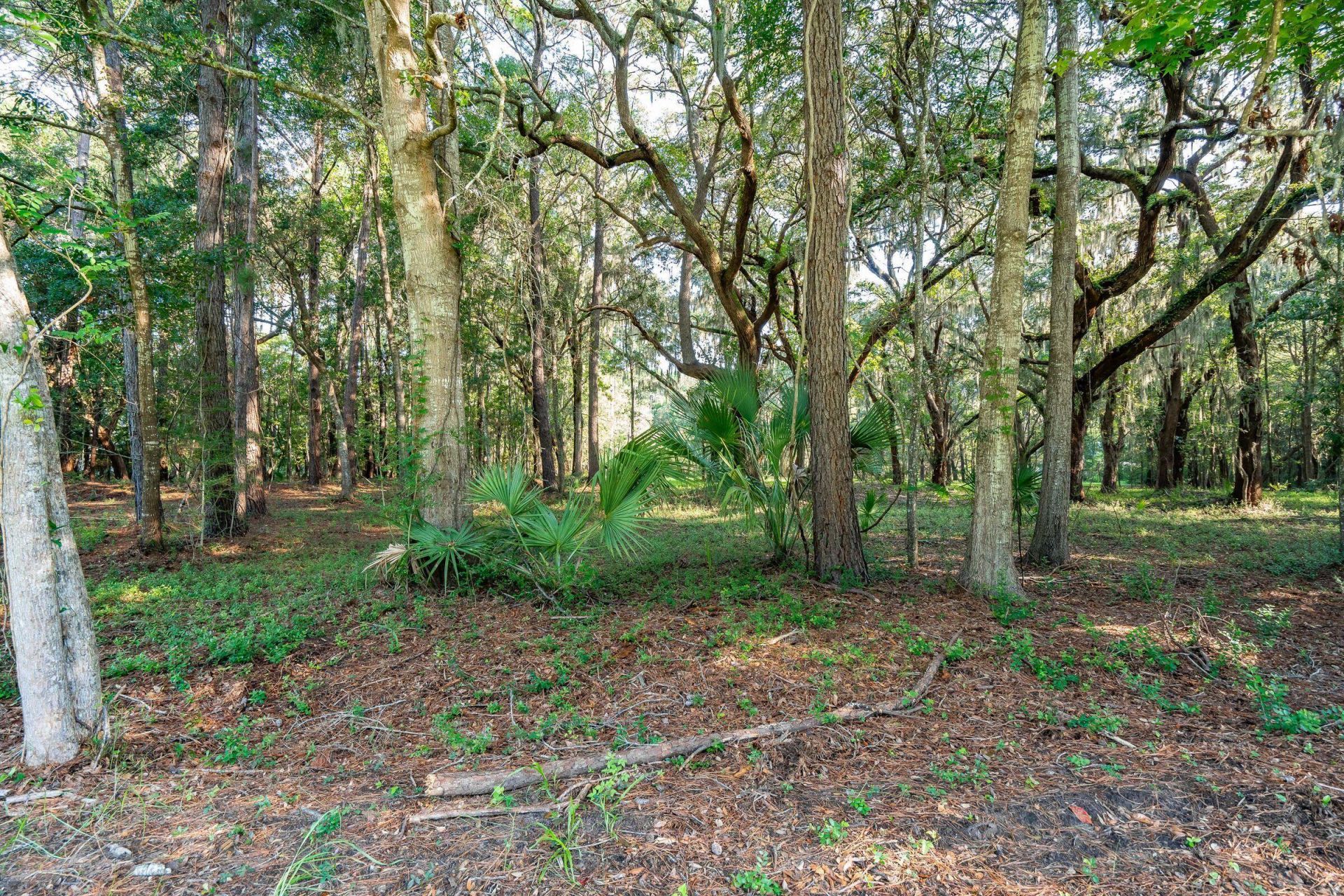4132 Gnarled Oaks Lane Photo 9