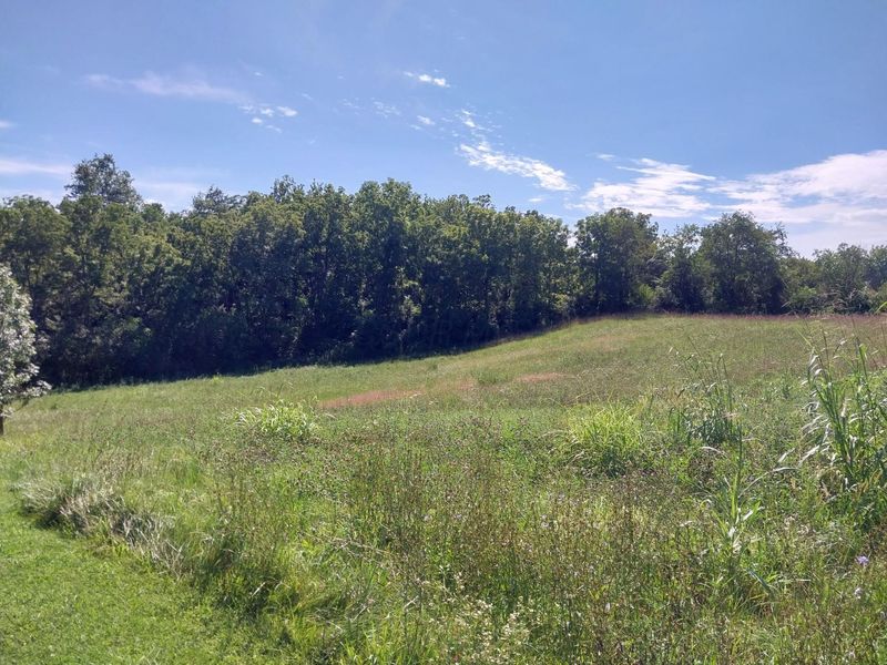 9182 Rapid Forge Road , Greenfield, OH 45123 Photo 16