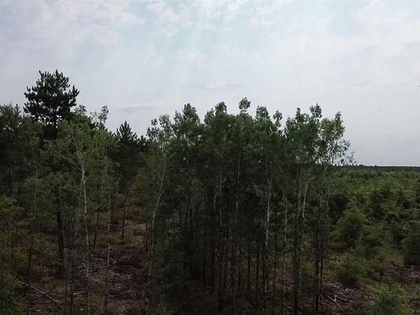 22XX Tomahawk Lake Road, Barnes, WI 54873