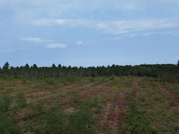 21XX Ellison Lake Road, Barnes, WI 54873