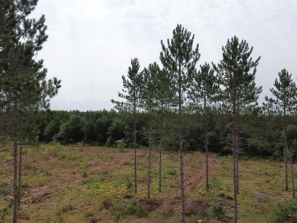211X Ellison Lake Road, Barnes, WI 54873