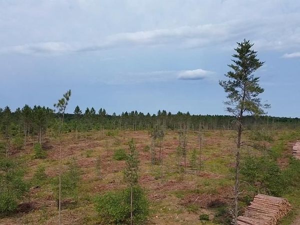 201X Tomahawk Lake Road, Barnes, WI 54873