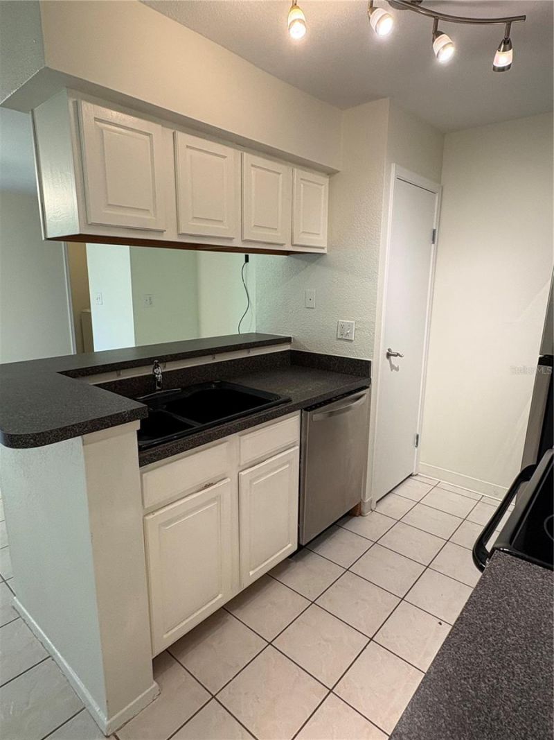 9100 Dr Martin Luther King Jr Street N, Unit 1707, Saint Petersburg, FL 33702 Photo