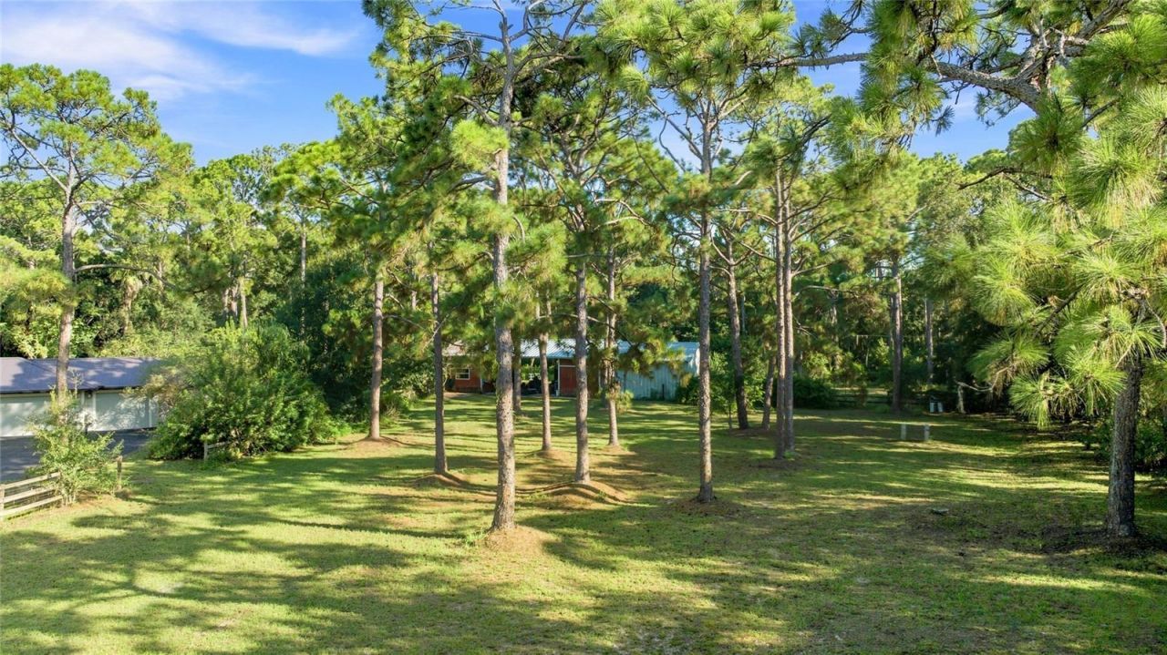 6950 El Dorado Drive, Sarasota, FL 34240 Photo