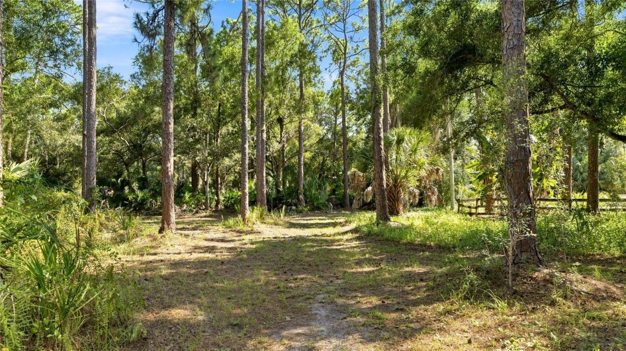 6950 El Dorado Drive, Sarasota, FL 34240 Photo