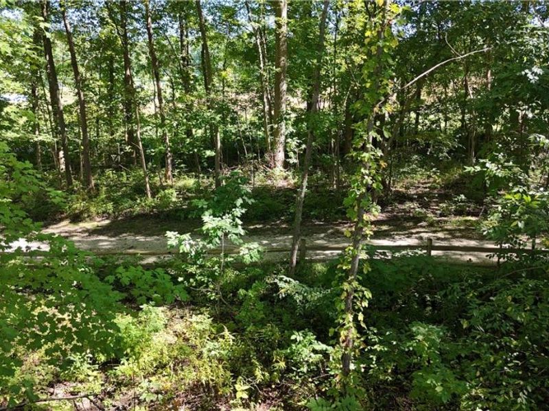 5791 Nicholson Drive, Hudson, OH 44236 Photo 50