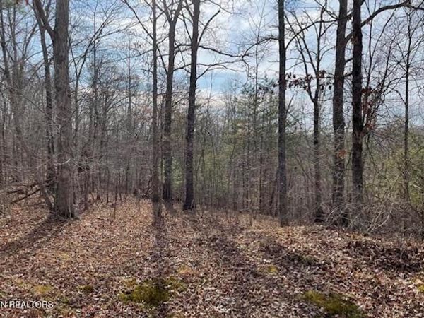 67.86 Ac Junior Cox Rd, Deer Lodge, TN 37726