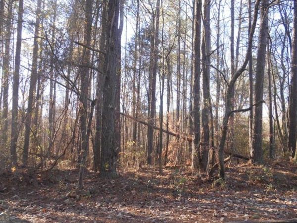 0 Bartlett Circle, Bowdon, GA 30108