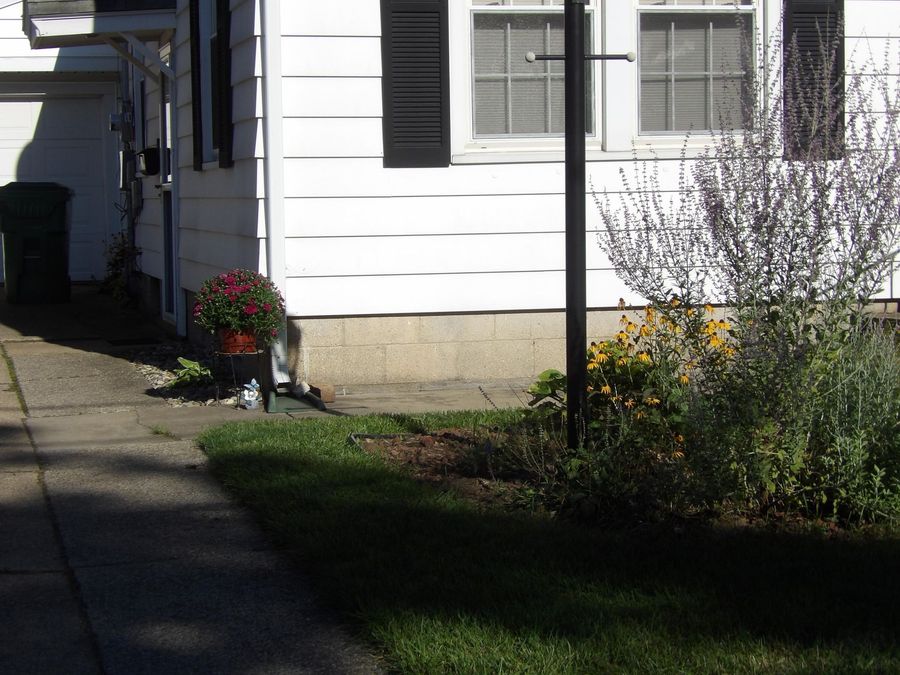 Property Image 54