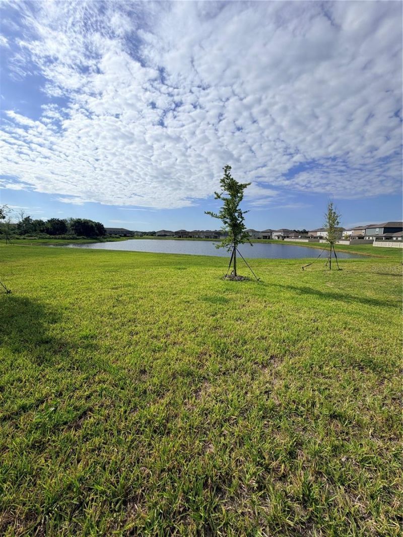 12490 Sweet Angel Aura Way, Parrish, FL 34219 Photo