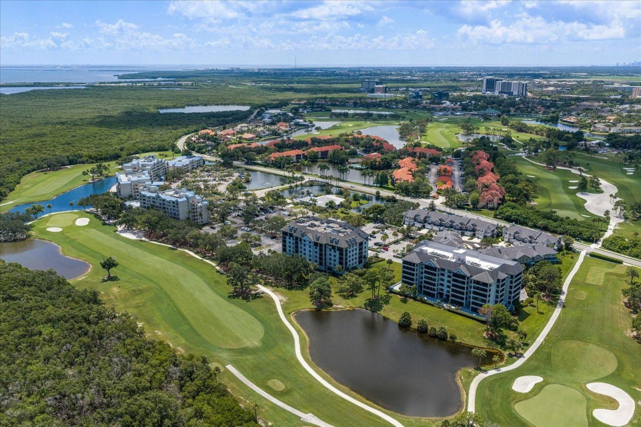 14820 Rue De Bayonne, Unit 505, Clearwater, FL 33762 Photo