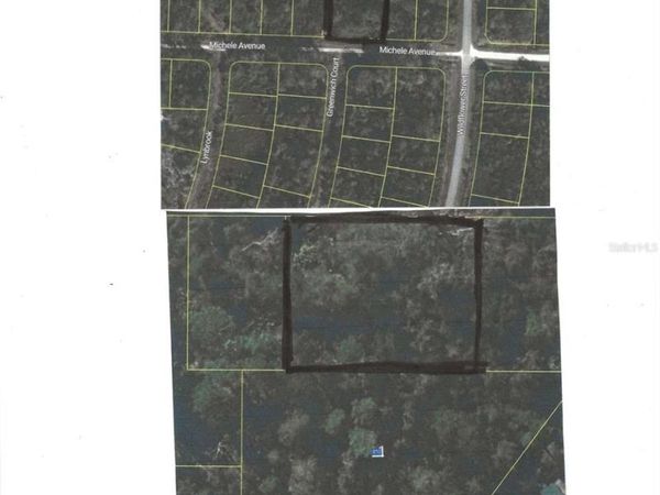 3205 MICHELE AVENUE , LAKE PLACID, FL 33852