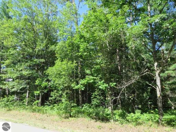 2043 Log Lake Road E, Kalkaska, MI 49646