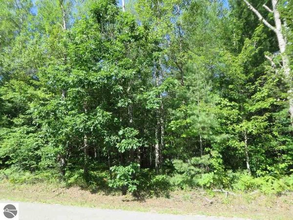 2065 Log Lake Road E, Kalkaska, MI 49646