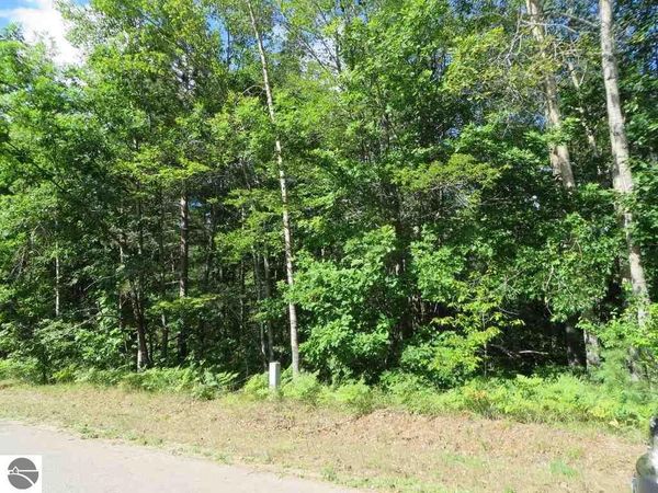 2089 Log Lake Road E, Kalkaska, MI 49646