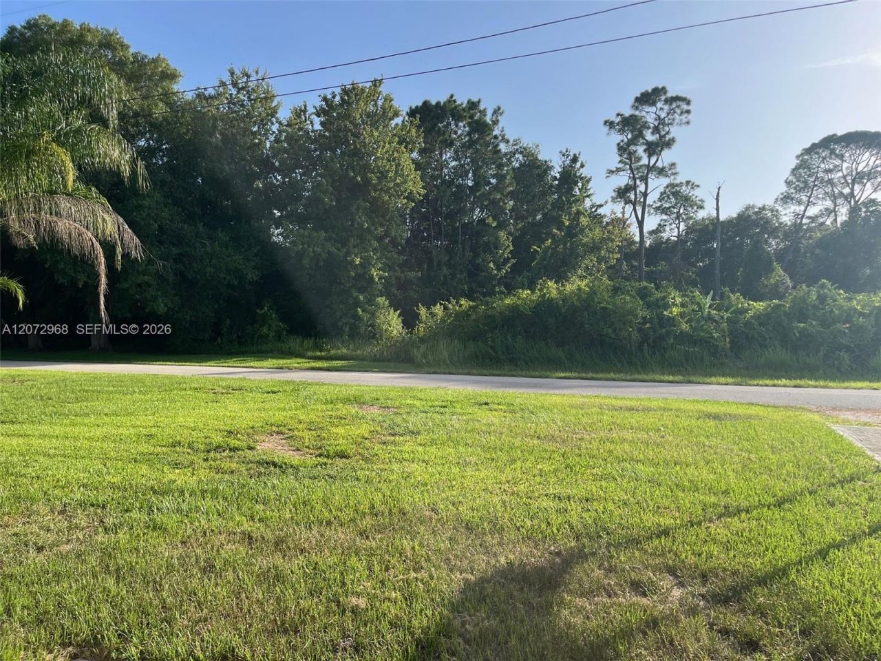 1052 Lake Carrie Dr, Lake Placid, FL 33852 Photo