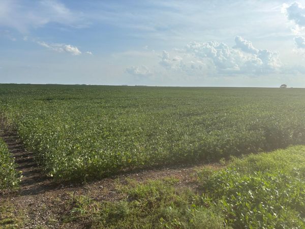 62495 310th Street and 620th , Chokio, MN 56221