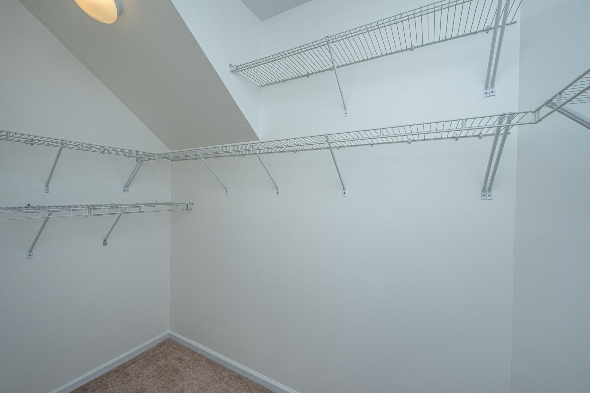 1223 Beck Drive Photo 23