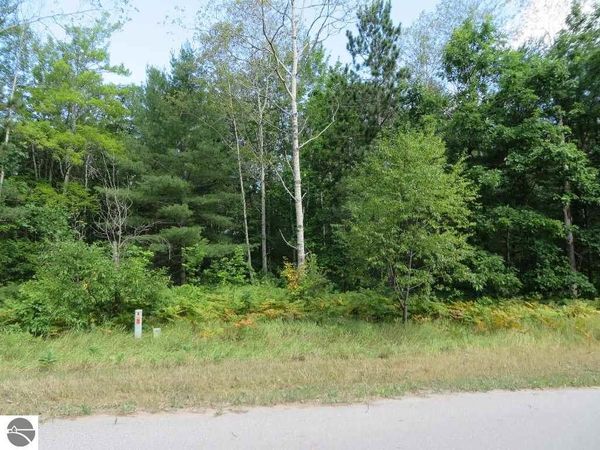 2205 Driftwood NE, Kalkaska, MI 49646