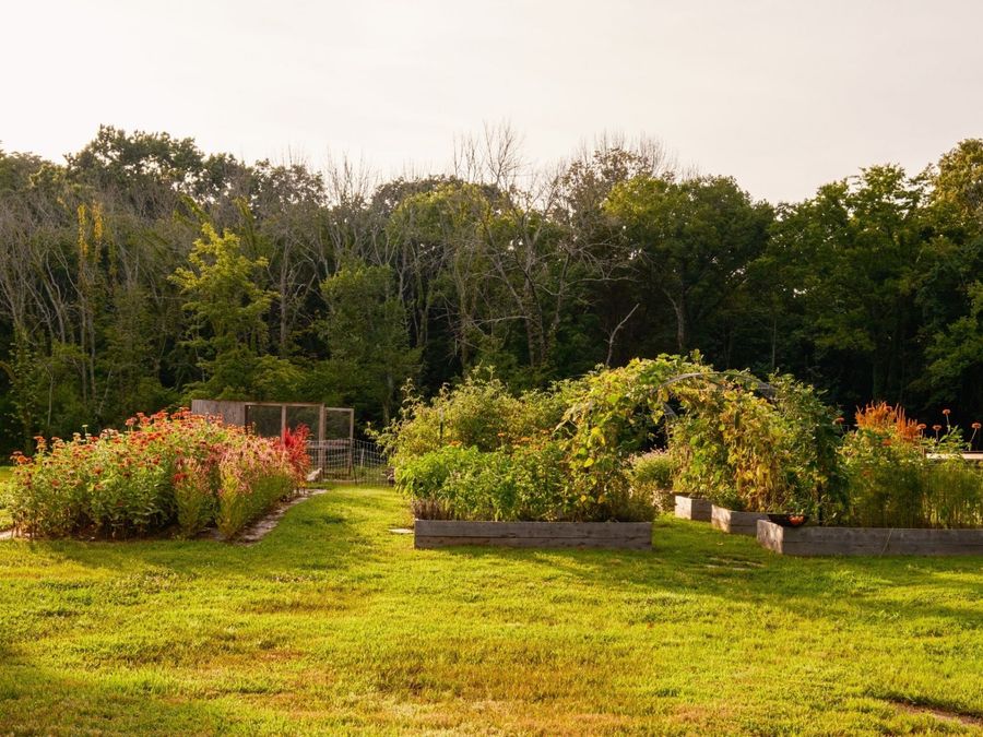 Property Image 61