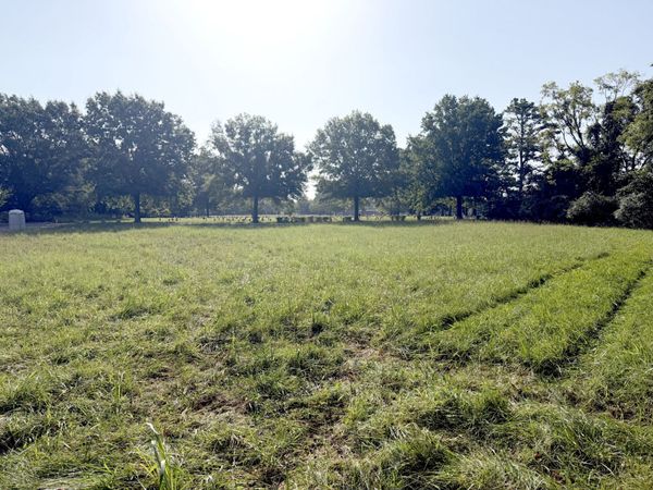 5029 Florence Rd , Unit WHOLE, Murfreesboro, TN 37129