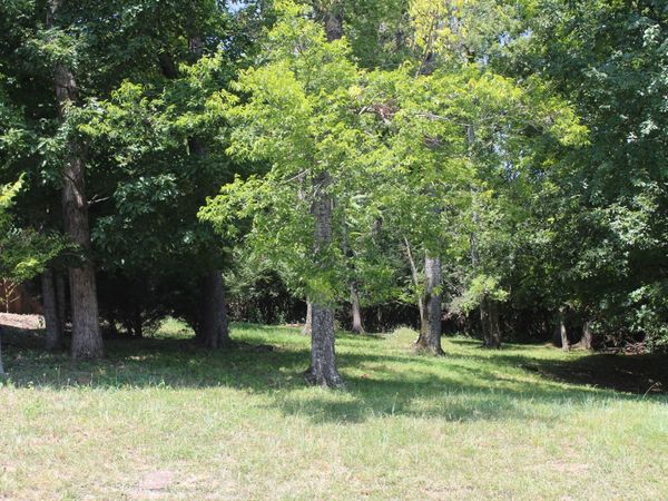 0 Spy Glass Way Lot 59 , Hendersonville, TN 37075