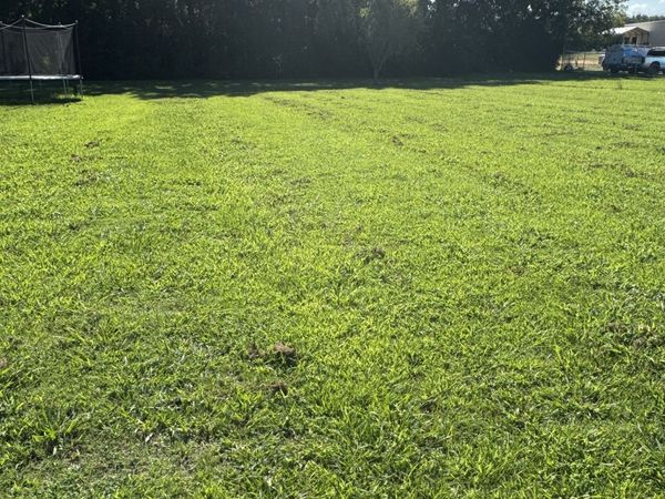 2 Alhambra Drive , Lebanon, TN 37087