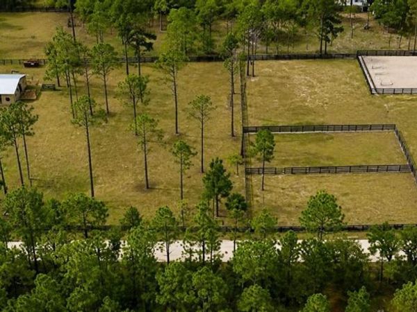 11670 SE 55TH LANE, MORRISTON, FL 32668