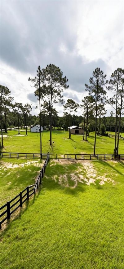 11670 SE 55th Lane , Morriston, FL 32668 Photo