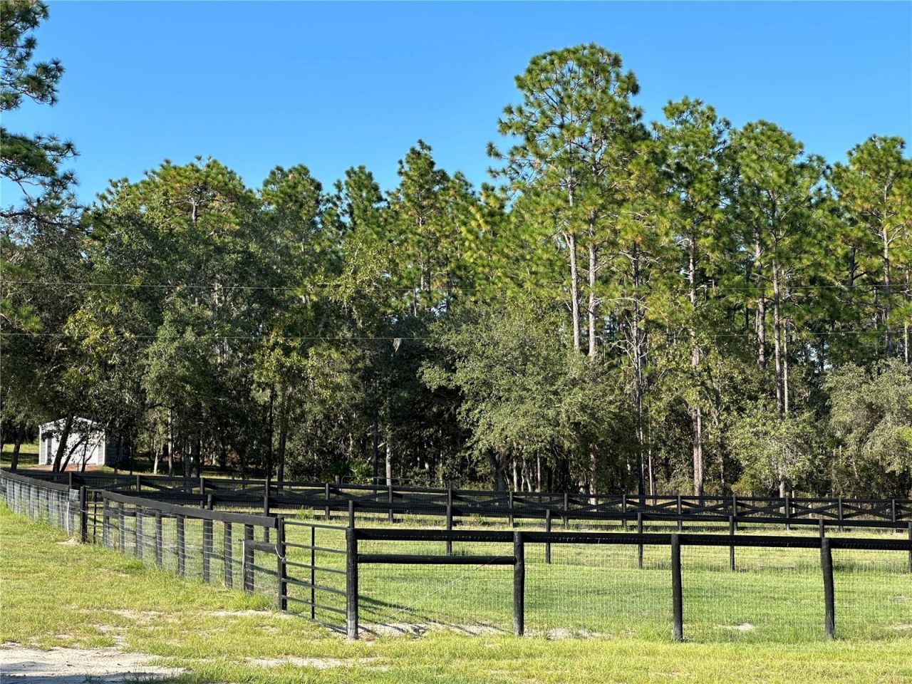 11670 SE 55th Lane , Morriston, FL 32668 Photo