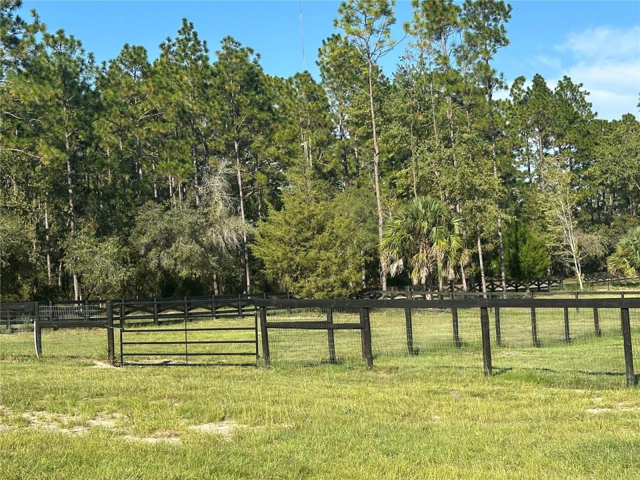 11670 SE 55th Lane , Morriston, FL 32668 Photo