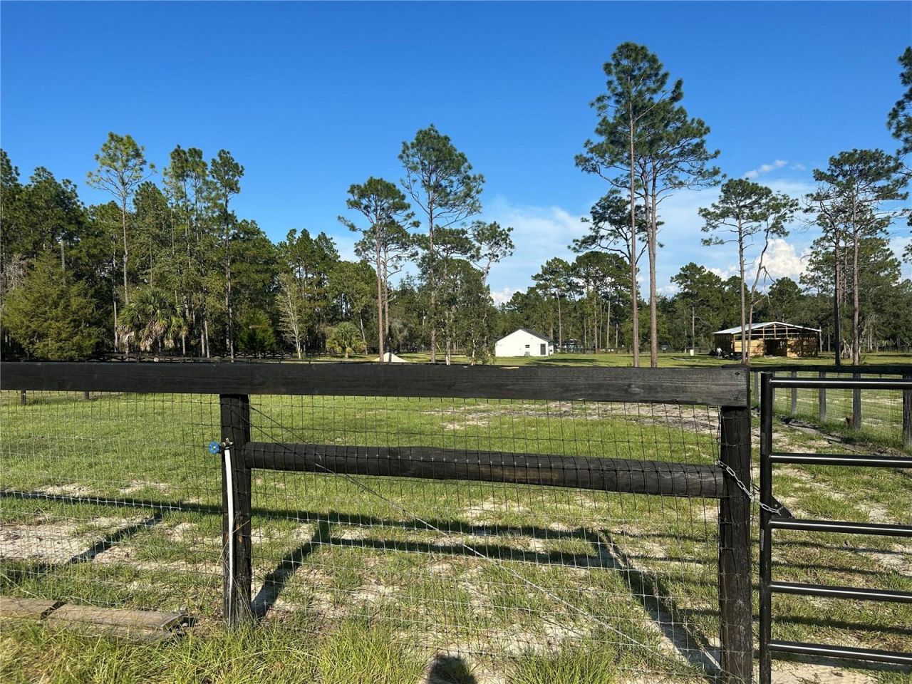 11670 SE 55th Lane , Morriston, FL 32668 Photo