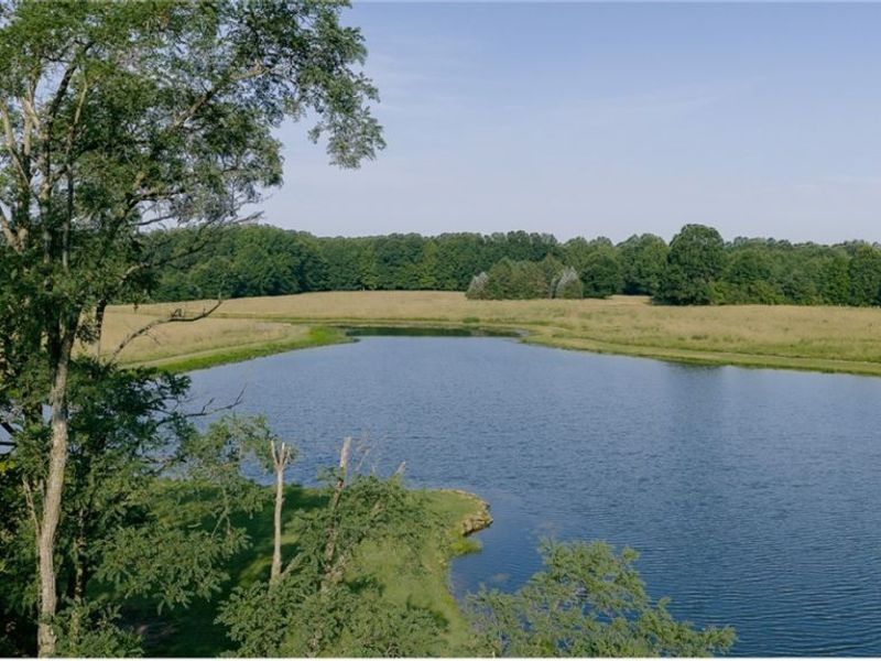 3199 State Route 7 , Fowler, OH 44418 Photo 37