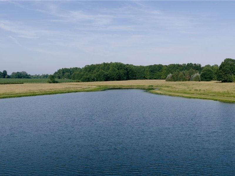 3199 State Route 7 , Fowler, OH 44418 Photo 39