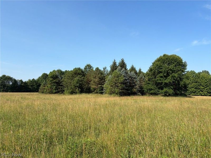 3199 State Route 7 , Fowler, OH 44418 Photo 42