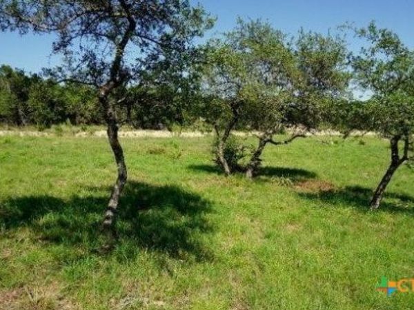 124 Sendera Way, Canyon Lake, TX 78133