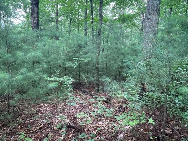 0 Mulberry Divide , Zirconia, NC 28790