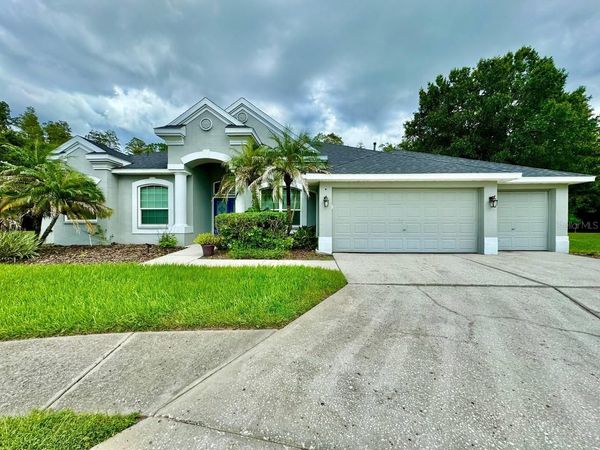 30518 COLEHAVEN COURT , WESLEY CHAPEL, FL 33543