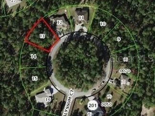 15 ALYSSUM COURT , HOMOSASSA, FL 34448