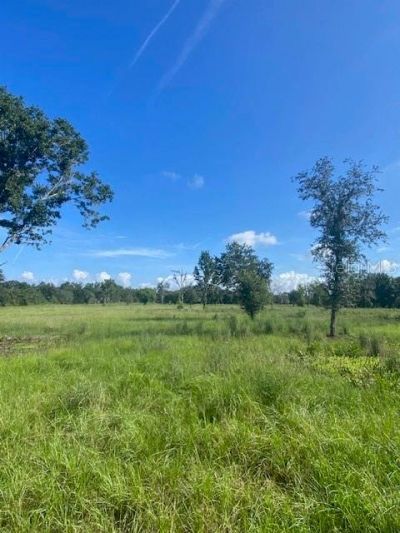 5840 Bob Smith Avenue , Plant City, FL 33565 Photo