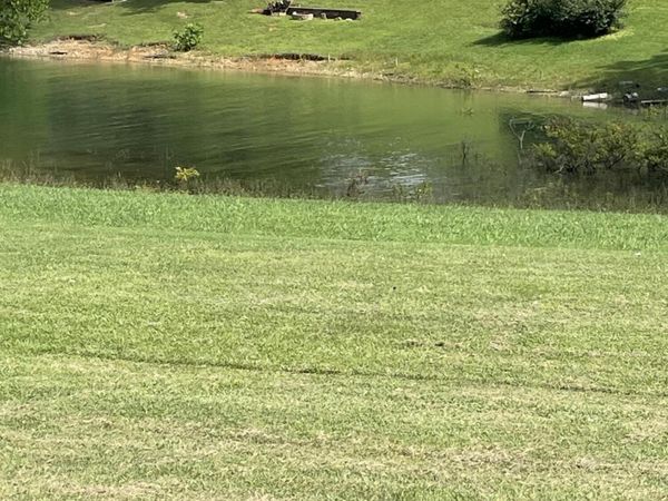 442 Noe Road, Bean Station, TN 37708